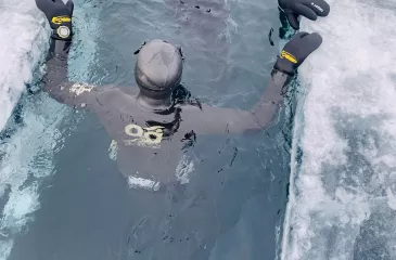 Фридайвинг