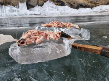 Организация пикников - фото 4