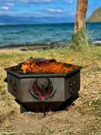 Организация пикников - фото 9