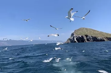 Водная экскурсия на остров Огой
