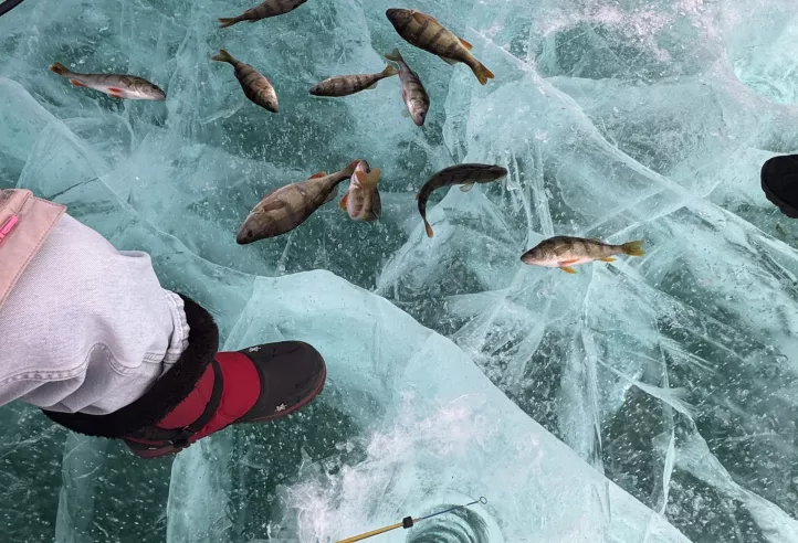 Рыбалка - фоновое изображение